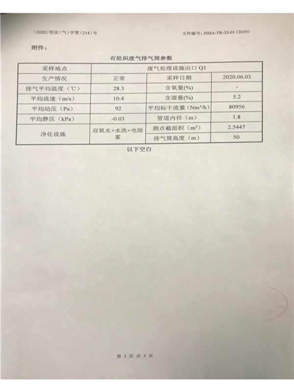 江蘇震宇化工有限公司酸霧檢測(cè)報(bào)告-總包單位浙江南化_04.jpg